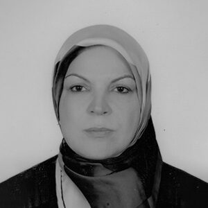 Dr Hamideh Moravvej